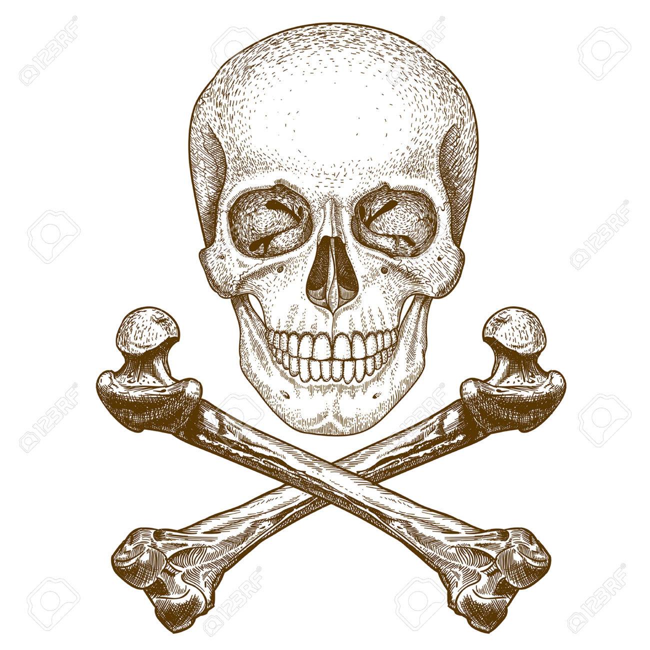1300x1300 Skull And Crossbones Stock Photos. Royalty Free Business Images