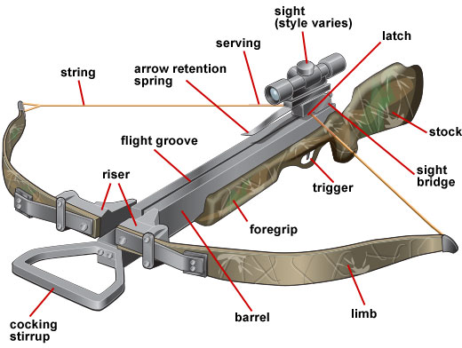 520x392 Parts Of A Crossbow