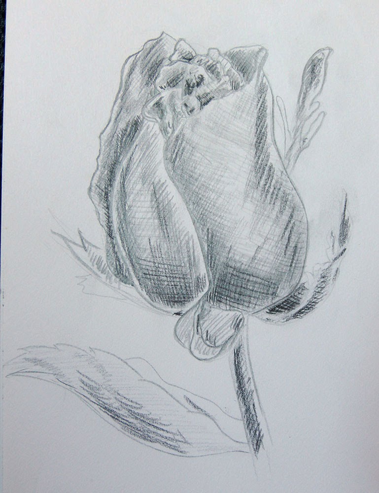 769x1000 Weekly Doodles And Tuts Drawspace Lesson Q04 How To Draw A Rose