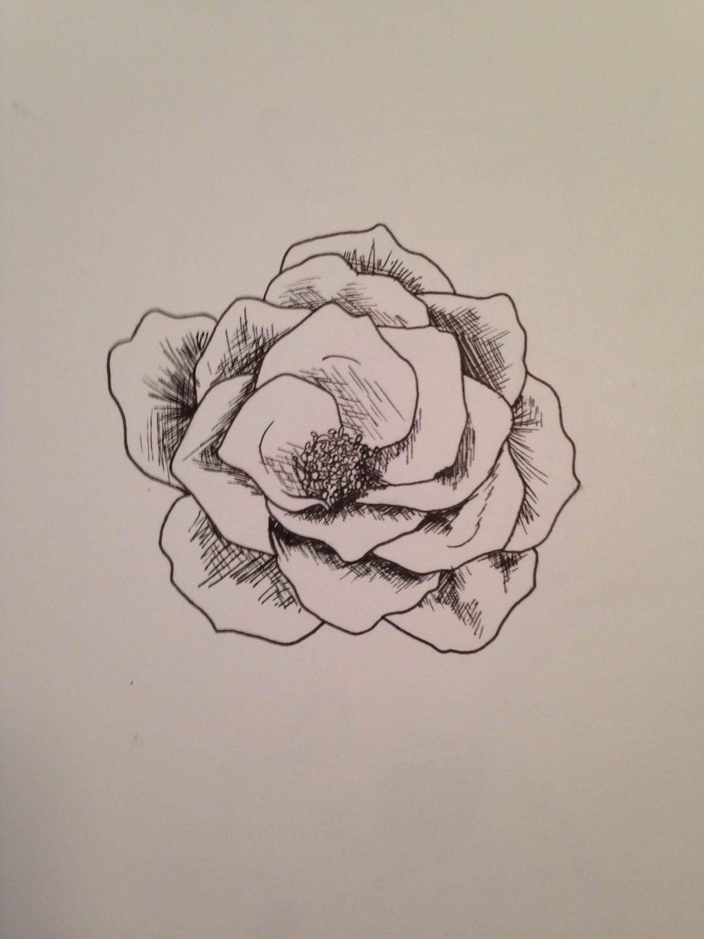 1024x1365 Crosshatch Flower By Para821