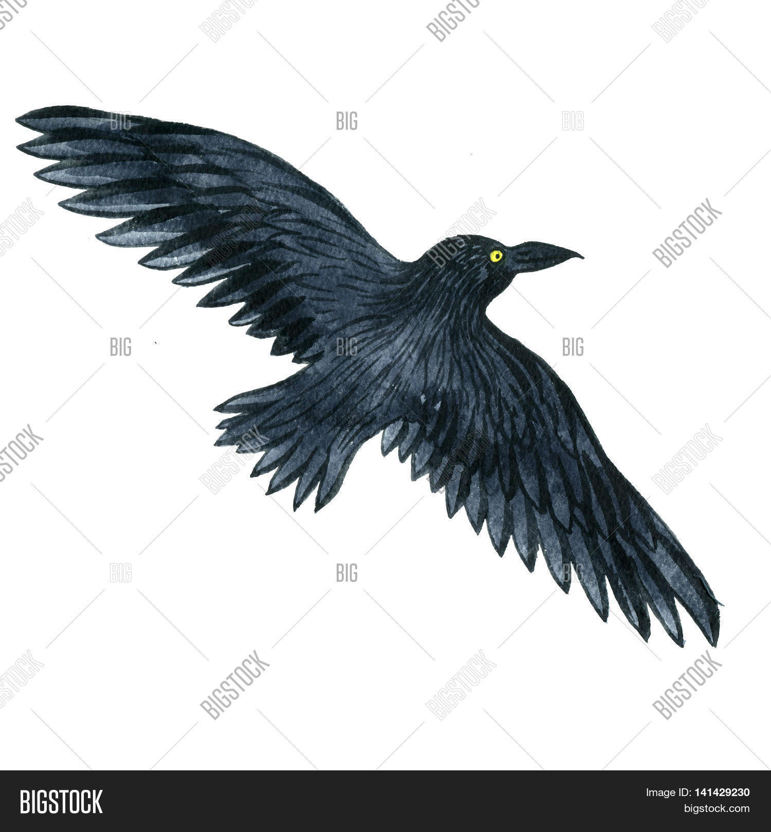 1500x1620 Watercolor Black Flying Raven, Image Amp Photo Bigstock