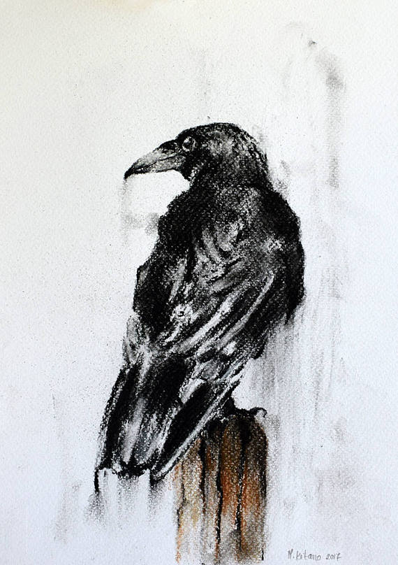 570x808 Crow Drawing Original Raven On A Branch Charcoal Drawing