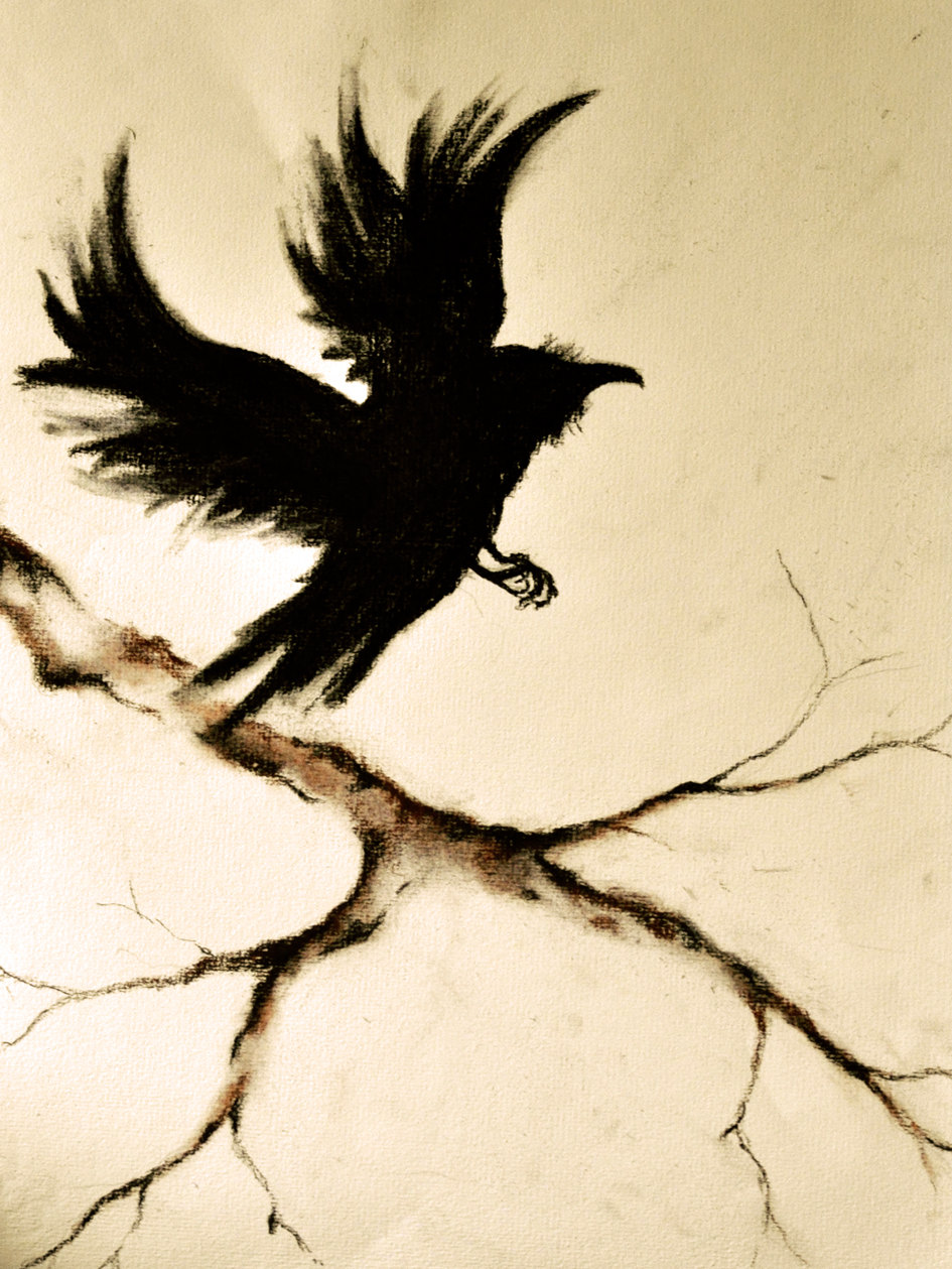 945x1259 Crow Flying