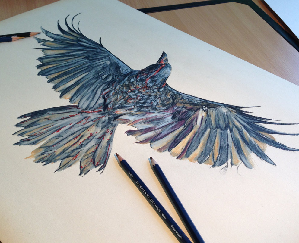 991x807 Crow Teaser By Atomiccircus