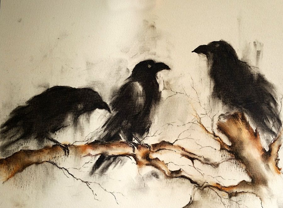 900x663 Original Crow Dessin Au Fusain Trois Corbeaux Sur Une Branche