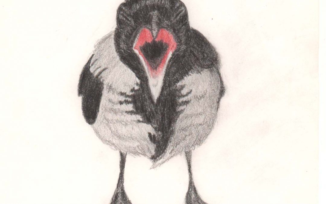 1080x675 Re Drawing 14 Year Old Drawing Of Angry Crow By Linda Ursin