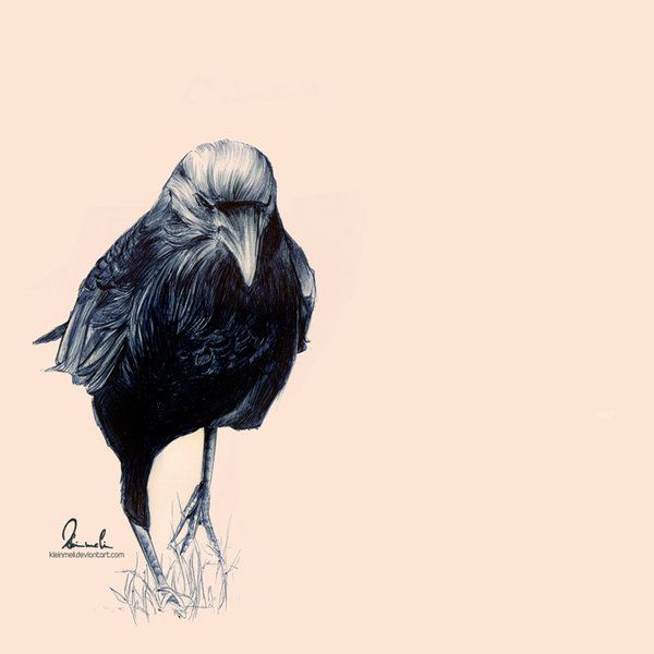 600x600 Ballpoint Pen Crow By =kleinmeli On Artistic
