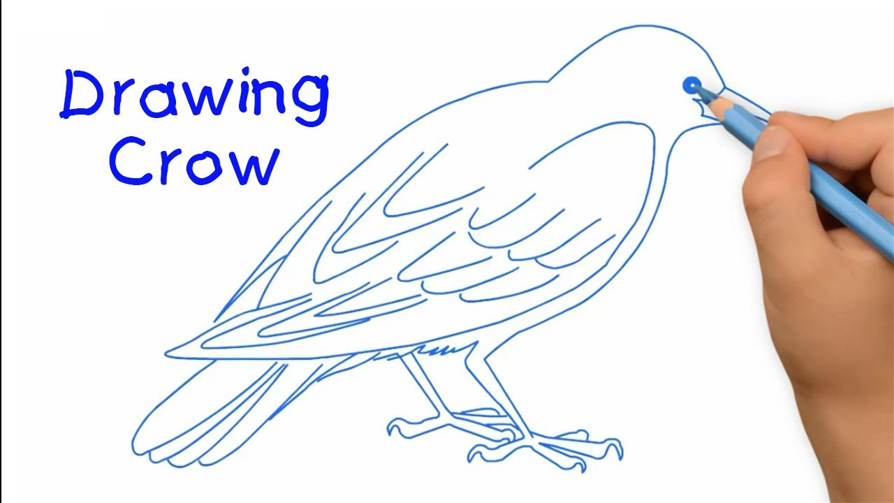 1280x720 How To Drawing Crow For Kids Easy Step By Step (One Minute Drawing