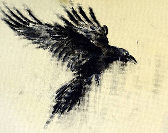 680x540 Original Charcoal Drawing Crow Art Dark Gothic Large Drawing 26x20