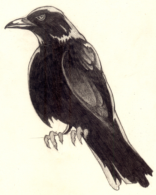 500x625 Create A Night Landscape Using Vector Texture