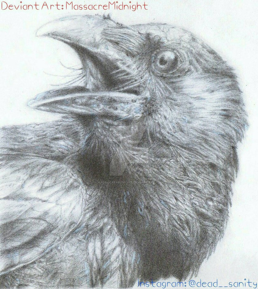 843x947 Crow Pencil Drawing By Massacremidnight
