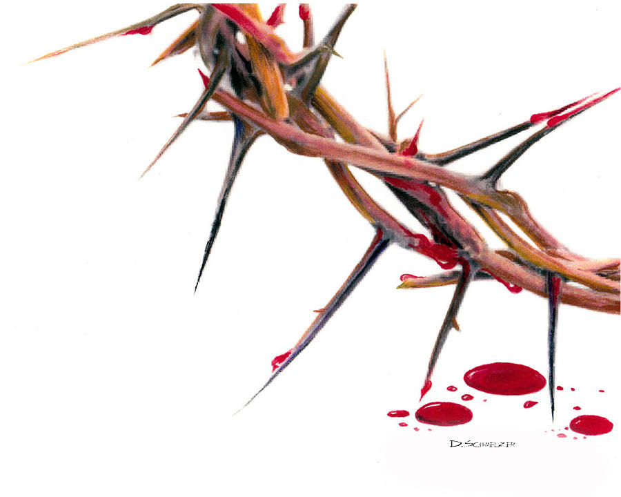 900x720 Crown Of Thorns Drawing By Dennis Schmelzer