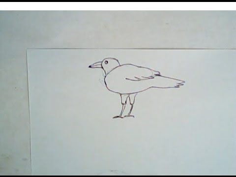 480x360 How To Draw A Crow (Simple Drawing)