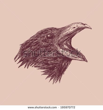 438x470 Crow Draw