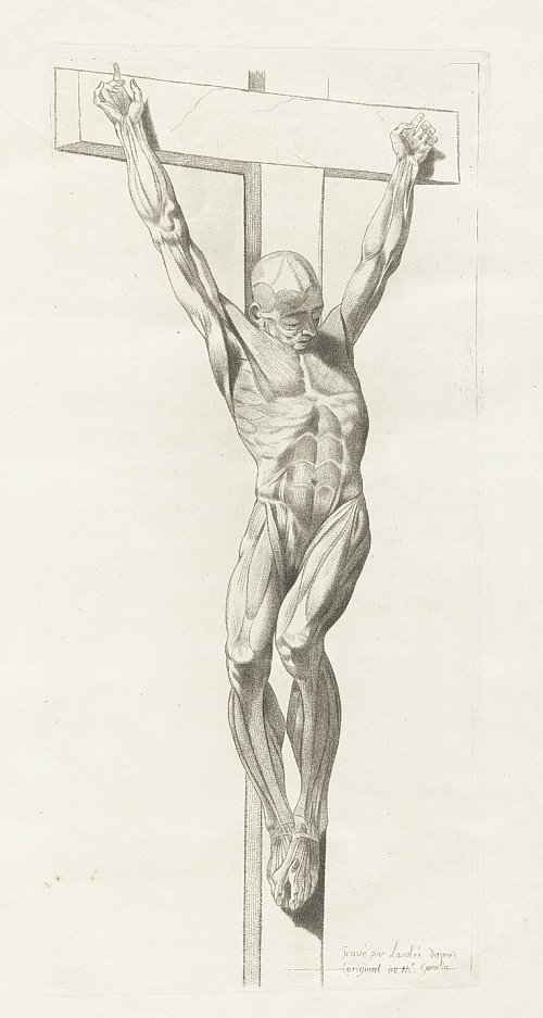 500x937 Anatomical Crucifixion Sketch Arts Sketches