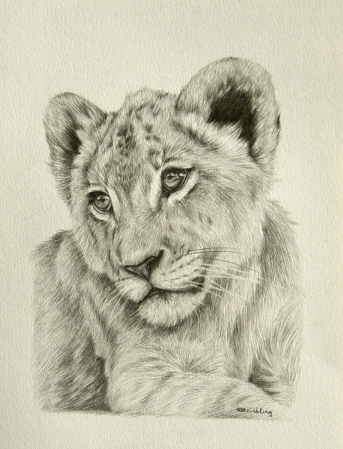 483x631 Lion Cub 12x9 Artsy Fartsy Lion Cub, Lions