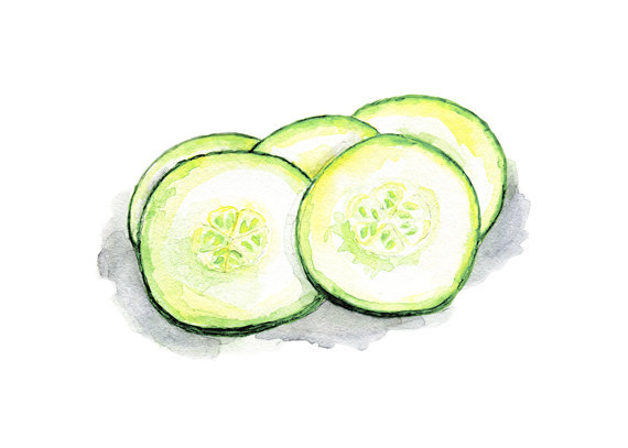 570x407 Cucumber Slices Still Life, Fresh, Spring Green, Food