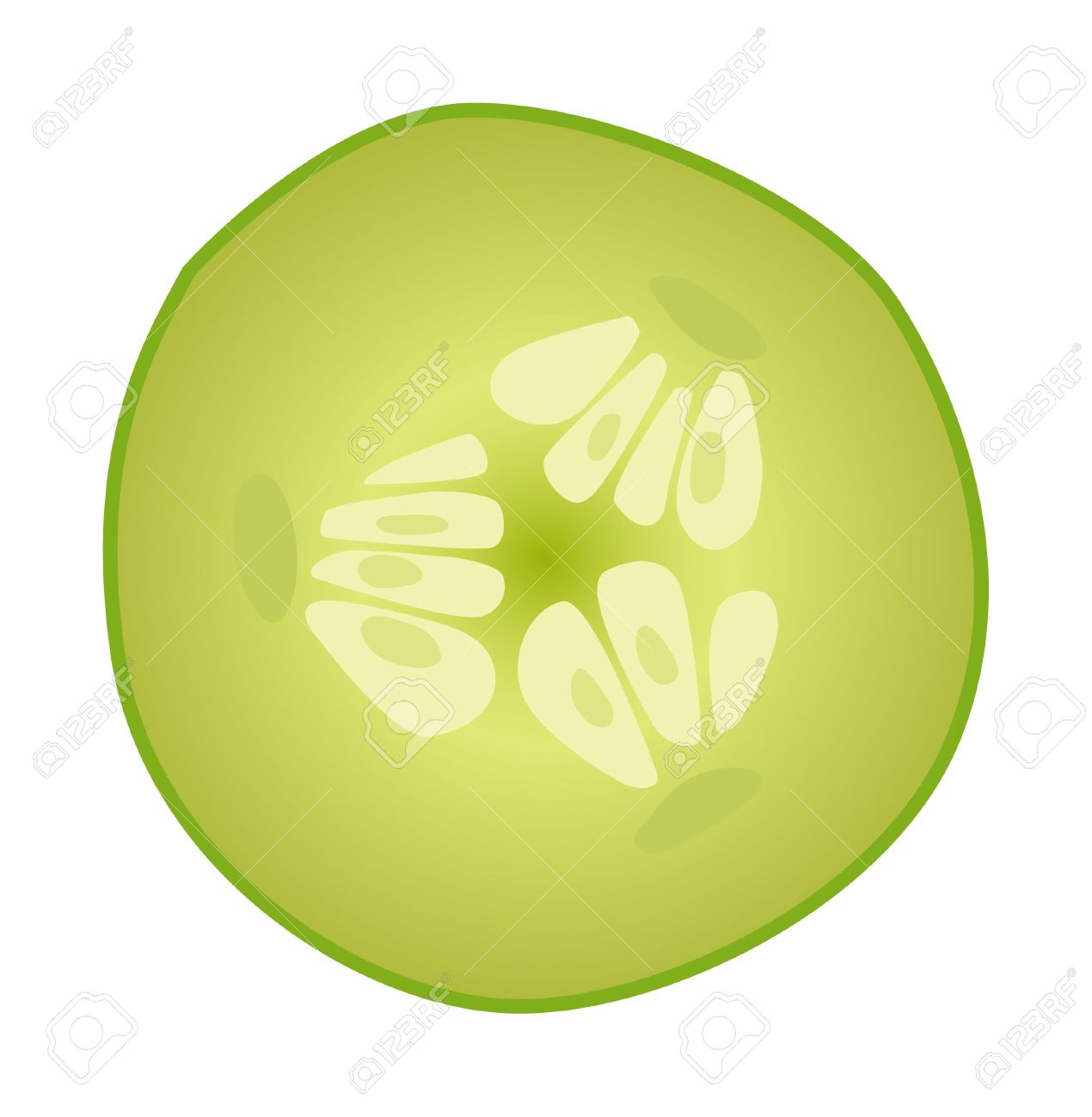 1270x1300 Slice Cucumber Vector Royalty Free Cliparts, Vectors, And Stock