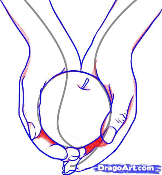 558x602 Hand Holding Apple Drawing