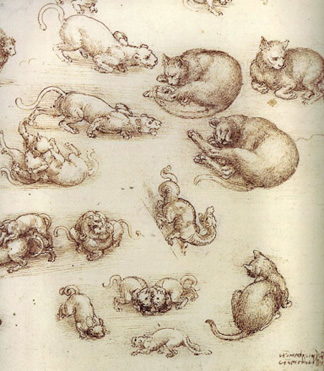 324x371 The Religion Network