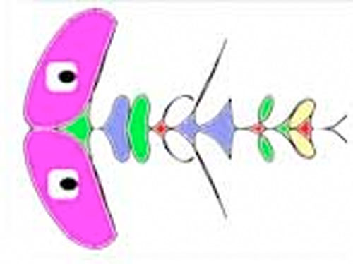 500x374 Cursive Name Monsters And Aliens Drawing Lessons For Kids Kinderart