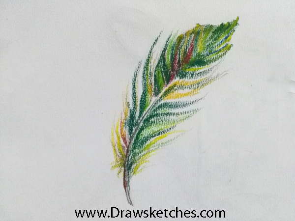 600x450 How To Draw A Featherin A Few Easy And Detailed Steps With Pictures