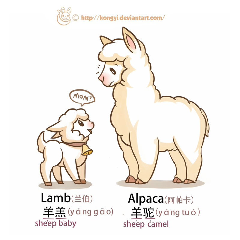 800x800 Daily Drawing Challenge 021 Lamb And Alpaca By Kongyi