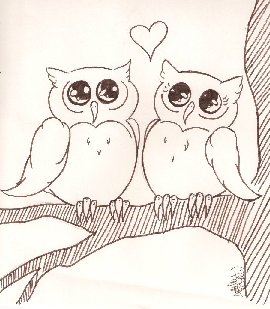 900x1030 Cute Little Owls By Missashleyrose On Animals
