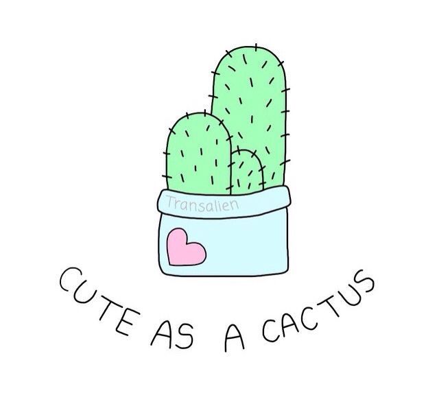640x589 12 Best Cute Cactus Images On Backgrounds, Cactus