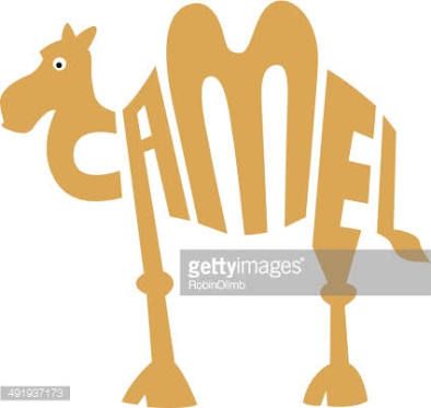 394x373 Cute Camel Illustration