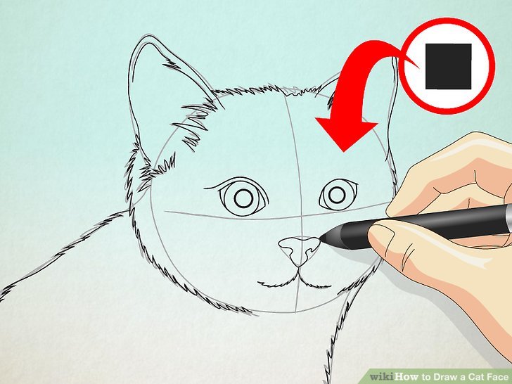 728x546 How To Draw A Cat Face 8 Steps (With Pictures)
