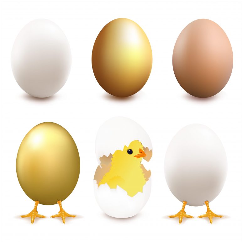 775x775 Best Vector Egg Chick Drawing Free Clip Art Designs, Icons,