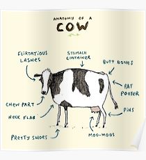 210x230 Cute Cow Drawing Posters Redbubble