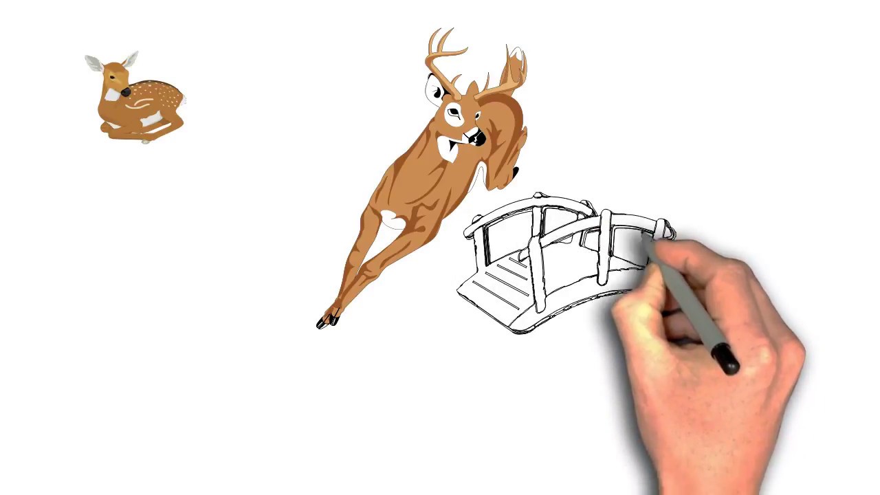 1280x720 Plengdut Tv Drawing Deer Jumping Of Bride With Cute Deer
