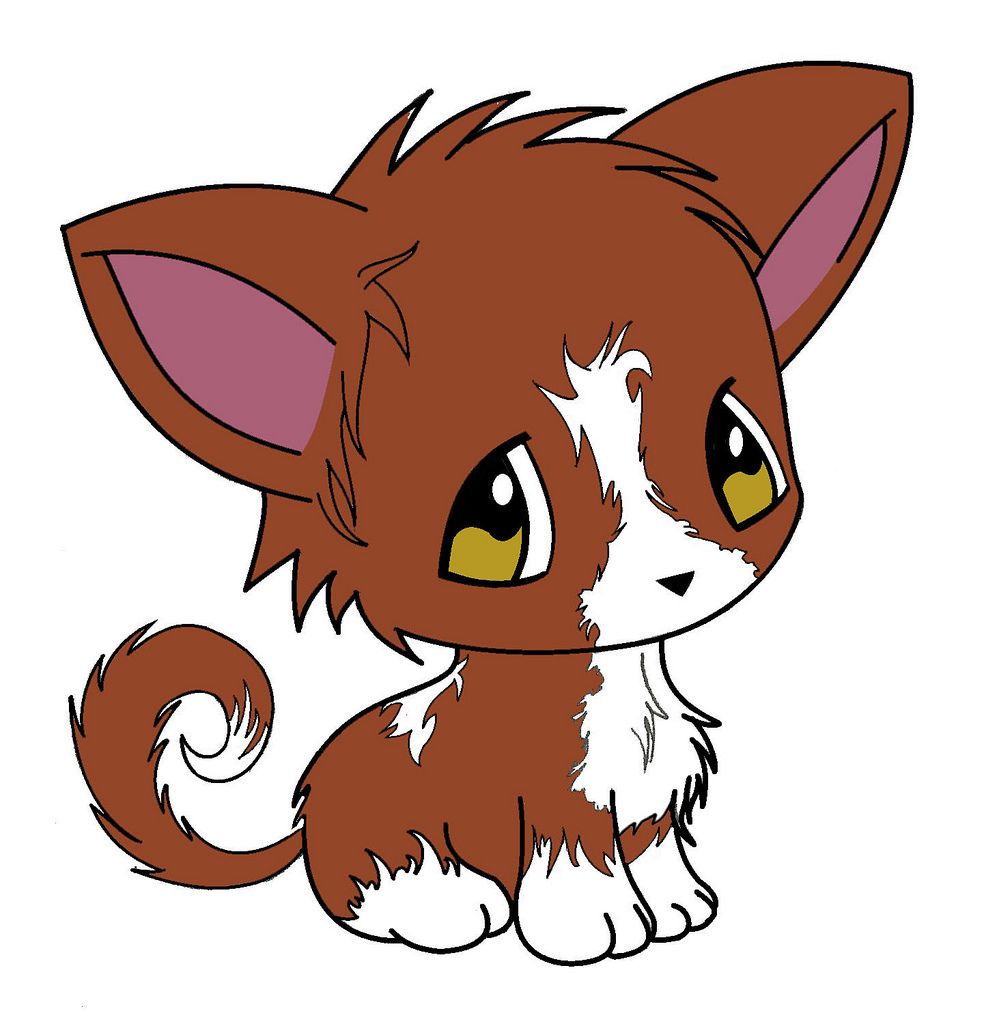 999x1024 Rfedsx Randomness Animales