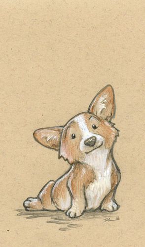 294x500 Corgi Drawing Dog Art Amp Illustrations Corgi, Draw