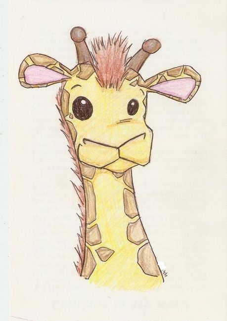 459x650 Giraffe Tumblr