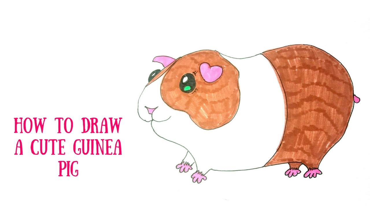 1280x720 How To Draw A Cute Guinea Pig