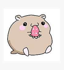 210x230 Cute Hamster Drawing Photographic Prints Redbubble