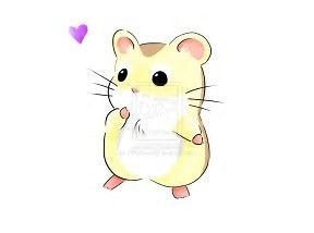 288x214 Image Result For Cute Hamster Drawings Hamsters