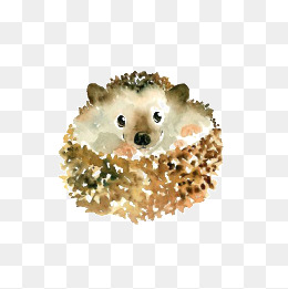 260x261 Hand Drawn Hedgehog Png Images Vectors And Psd Files Free