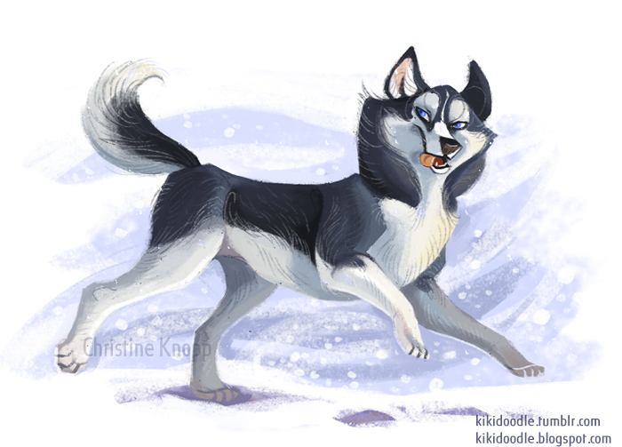 700x503 Siberian Husky By Kiki Doodle
