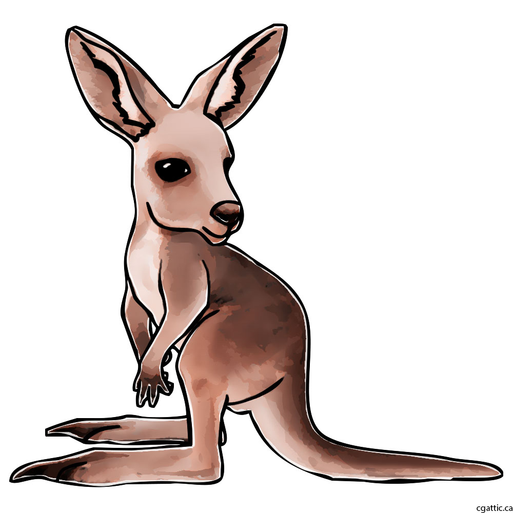 1000x1000 Kangaroo Cartoon Drawing In 4 Steps With Photoshop