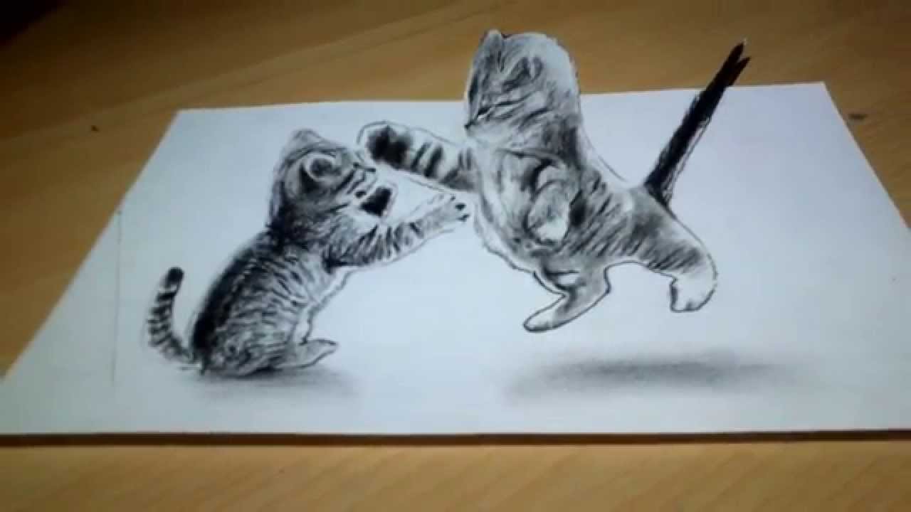 1280x720 Cute Cat Drawing 3d Anamorphic Illusion