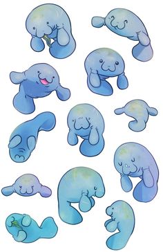 236x364 Cute Manatee Drawing