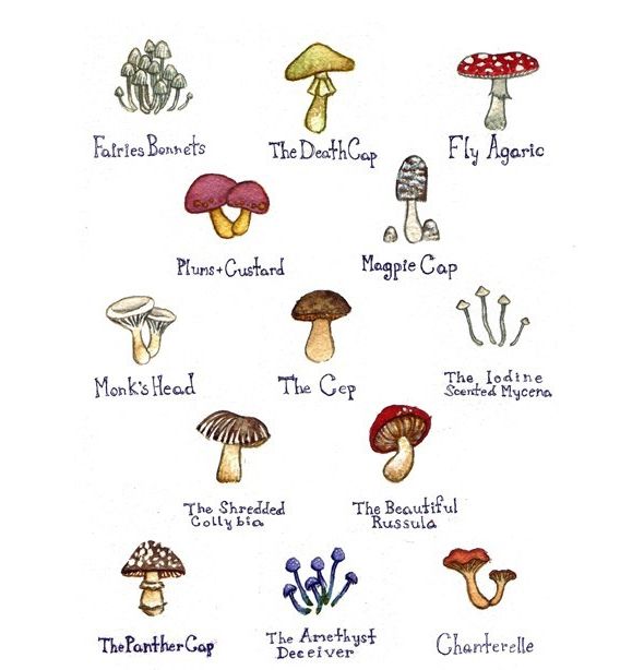 Cute Mushroom Drawing at GetDrawings | Free download