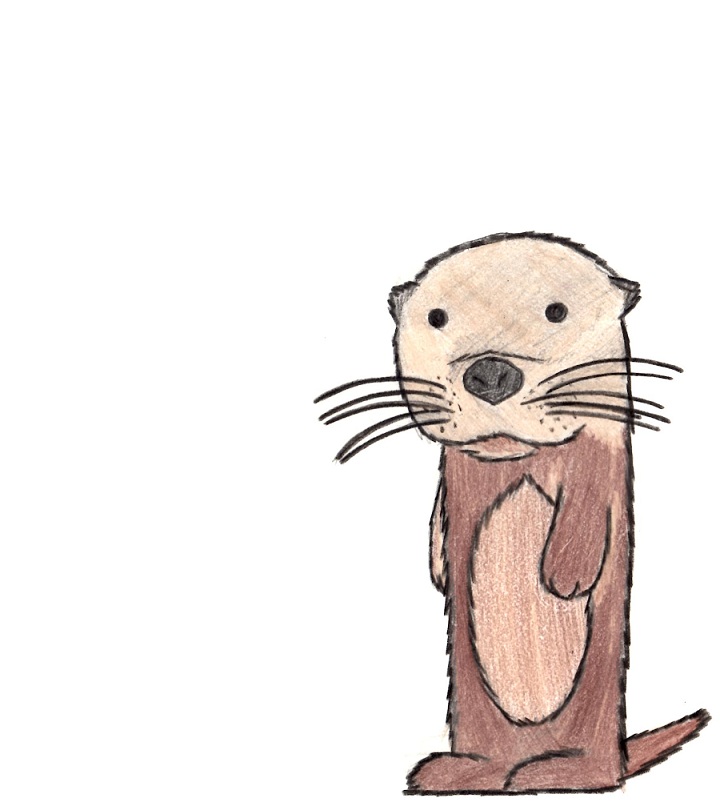 720x802 How To Draw An Otter Swimming