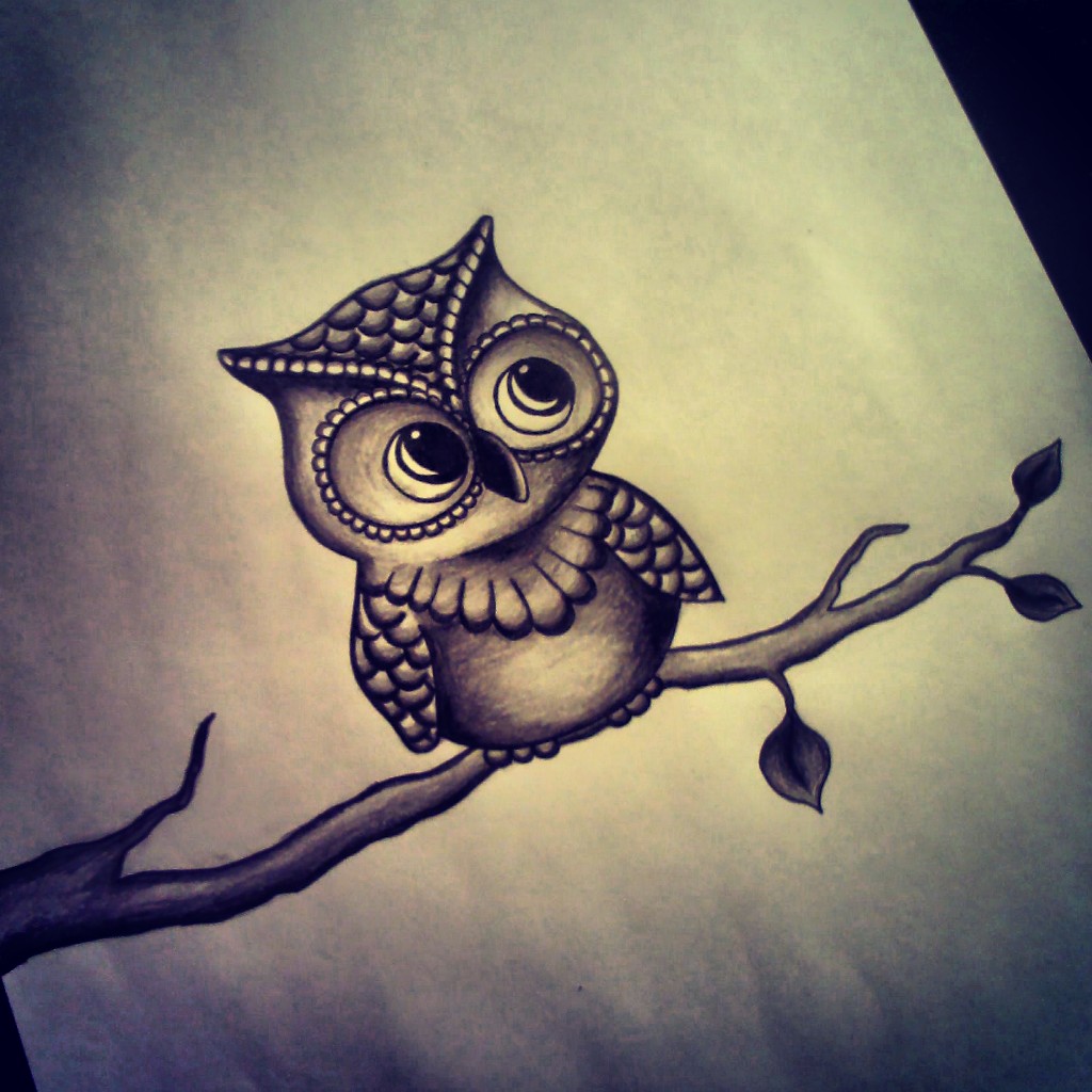1024x1024 Image Result For Cute Owl Drawing Owls!!! Owl