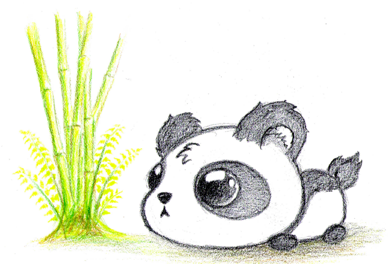 778x526 Panda Drawing Baby Panda Bear By Il Ja Tats Baby