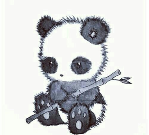 500x455 Pin By Karmen Uzelli On Tumblr Backgrounds Panda